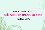 Giải Sinh 12 trang 50 Chân trời sáng tạo SGK